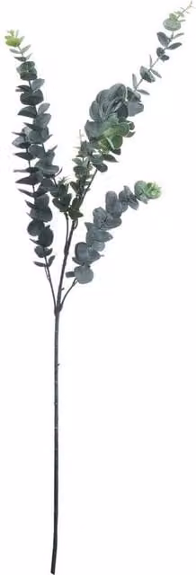 Hill Interiors Artificial Tall Single Stem Silver Dollar Eucalyptus in Green, Height: 104 cm – 1