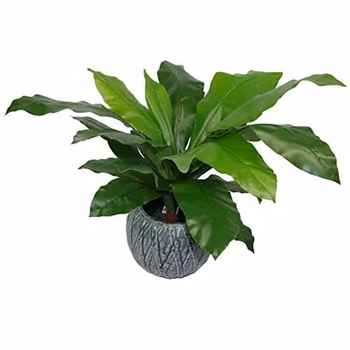 Leaf Large Artificial Bird's Nest Fern Plant in Green, 60 cm