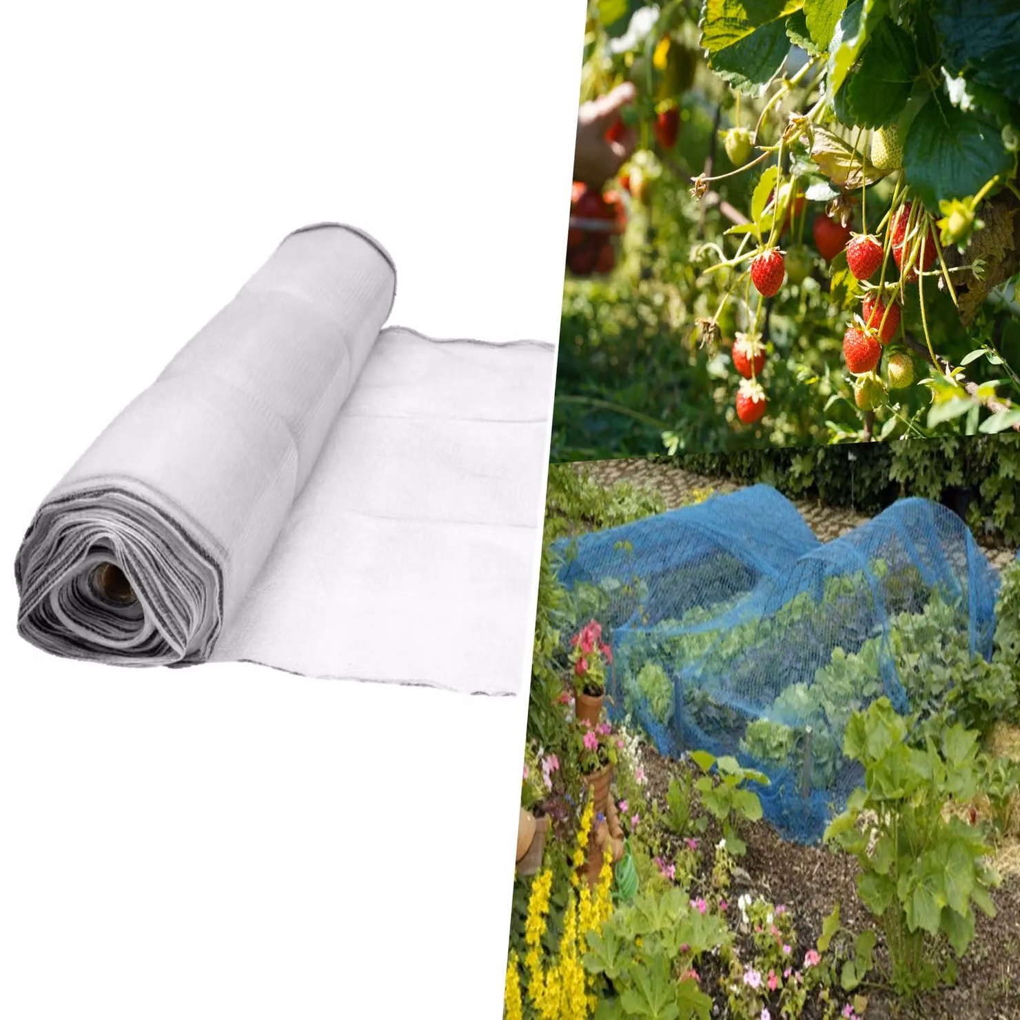 Pegdev White UV-Stabilised Strawberry Netting Plastic Mesh for Fruit Plants and Vegetable Gardens, 29m – 2
