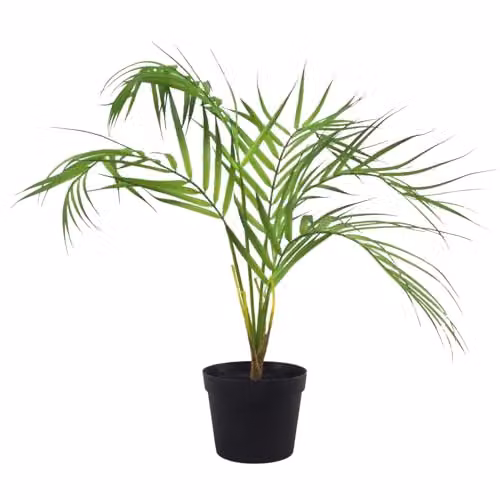 Botanik Realistic Potted Artificial Palm Tropical Tree in Green and Black – 1