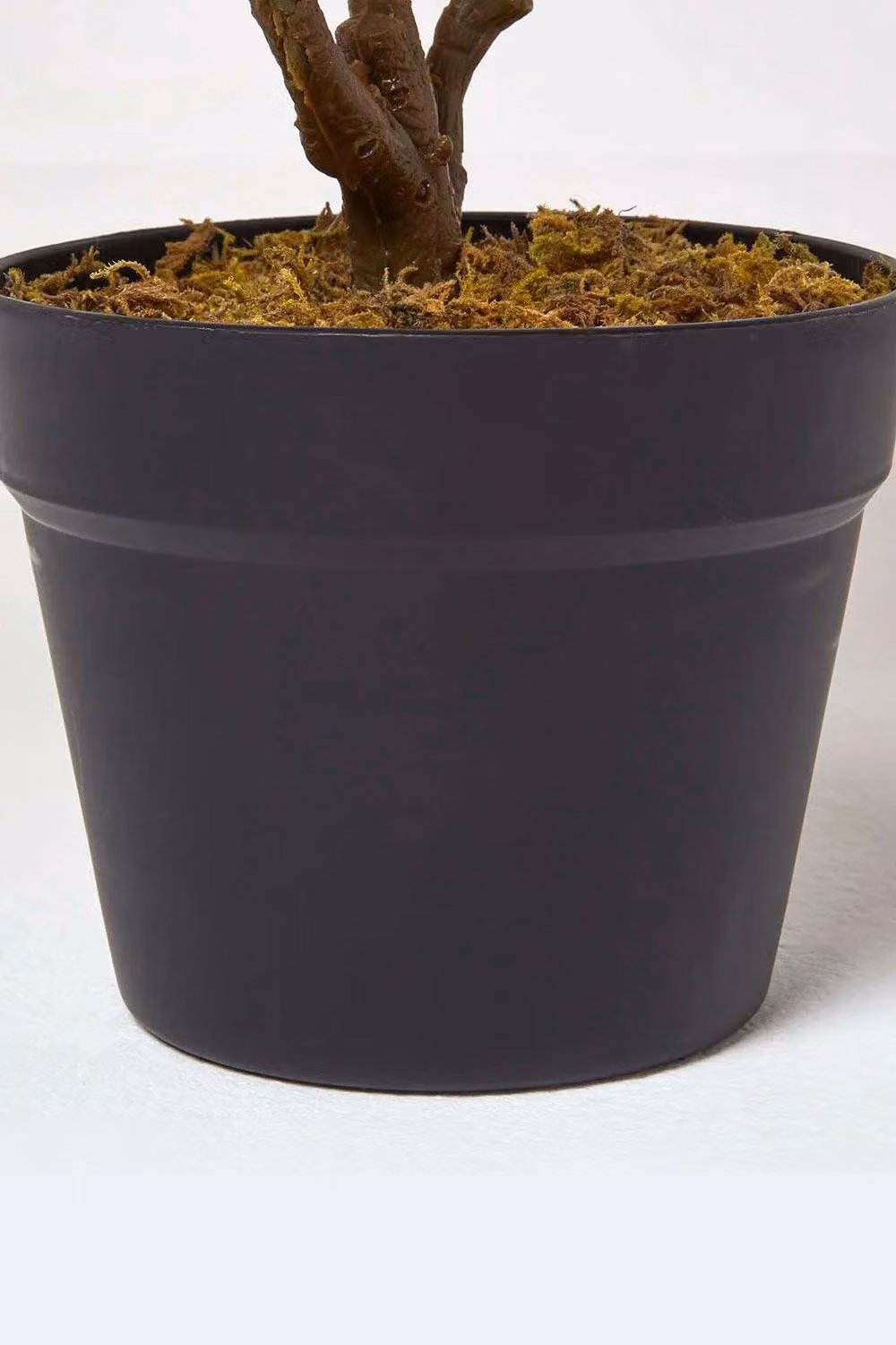 Homescapes Rushfoil Artificial Potted Croton Plant in Red and Multicolour with Black Pot, Height: 65 cm – 4