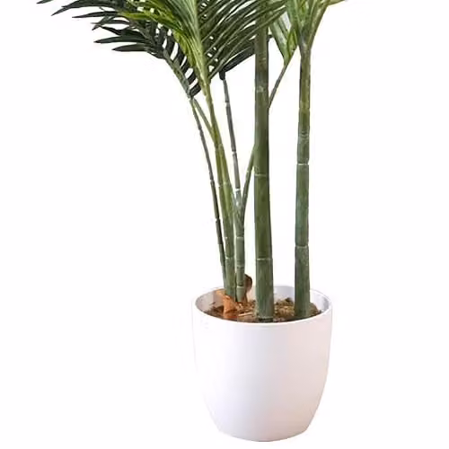 Leaf UK 160 cm Artificial Palm Tree in a Green Pot with White Accents – 3