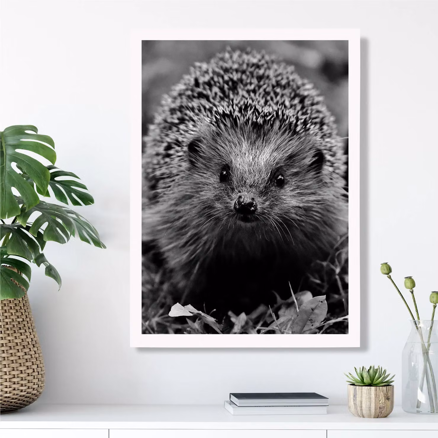 ARTZE Curious Hedgehog Black and White Animal Photo Framed Print with White Frame – 2