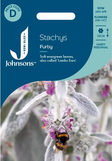 Johnsons Stachys Furby Ornamental Flower Seeds, Silver and Multicolour Ground Cover
