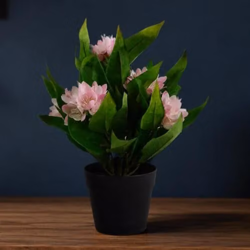 Leaf Pink Artificial Freesia Flowering Houseplant in a Potted Tabletop Design, Height: 18 cm – 3