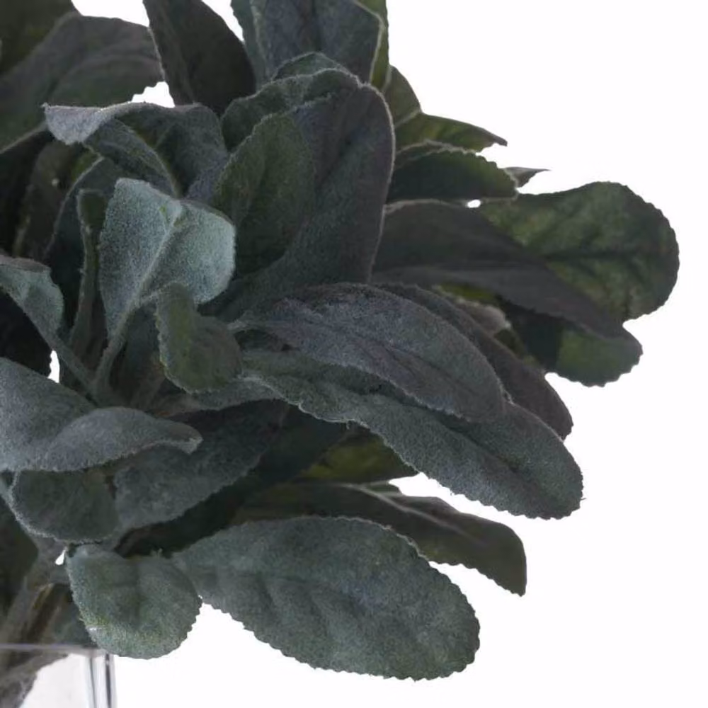 Lemon Pavilion Green Artificial Lambs Ear Plant, W16 x D16 x H35 cm – 3
