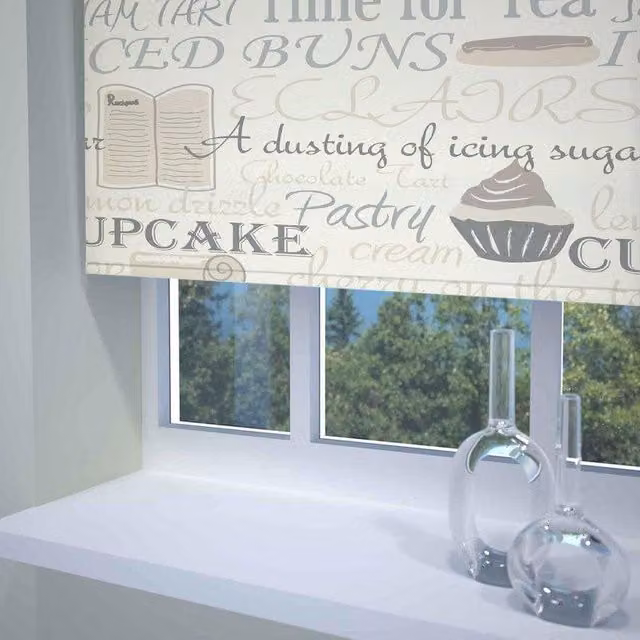 Terrys Transparent Graphic Corded Roller Blind in Beige