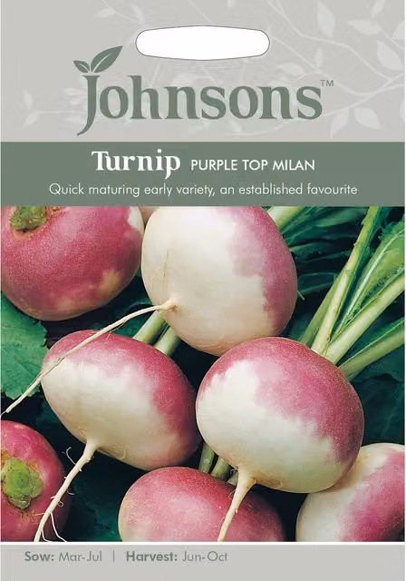 Johnsons Purple Top Milan Turnip Vegetable Seeds