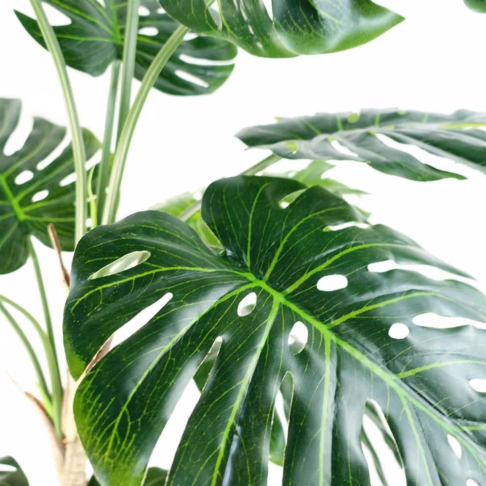 Leaf Design UK Artificial Luxury Monstera Cheese Plant in a Black Pot, Green, Height: 150 cm – 8