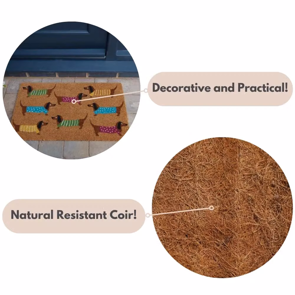 Marco Paul Heavy Duty Coir Door Mat with Dachshund Graphic, Multicolour, W: 75.0 cm, D: 45.0 cm – 5