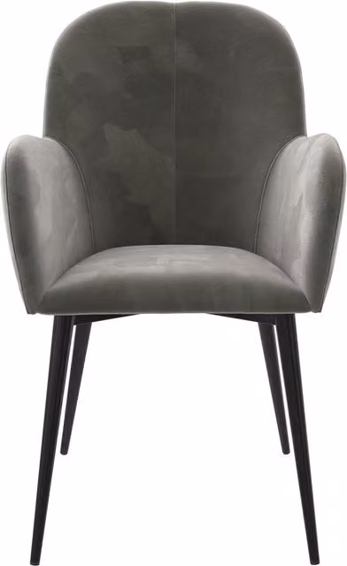 Fitz Modern Velvet Accent Dining Chair in Grey