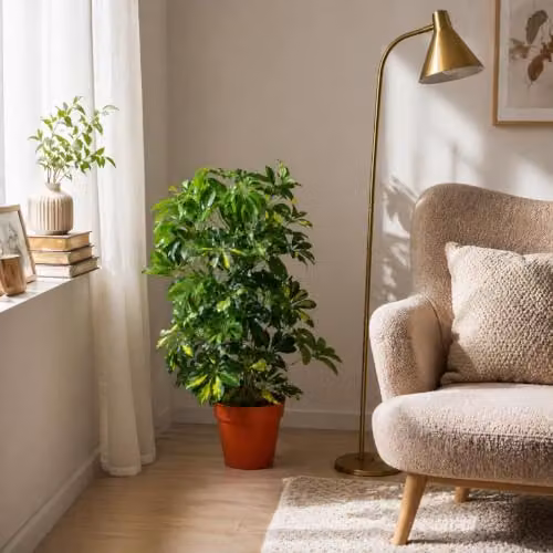 Leaf Design UK 75cm Artificial Arboricola Gold Capella Potted Plant in Green and Gold – 2