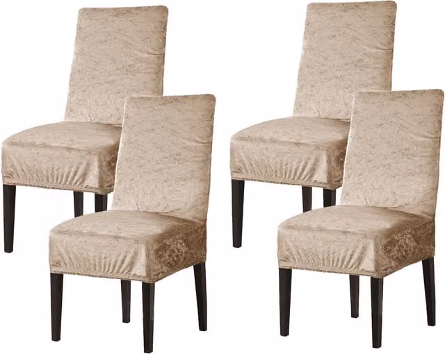 Home Republic Set of 4 Luxury Crushed Velvet Stretch Dining Chair Covers in Beige and Gold