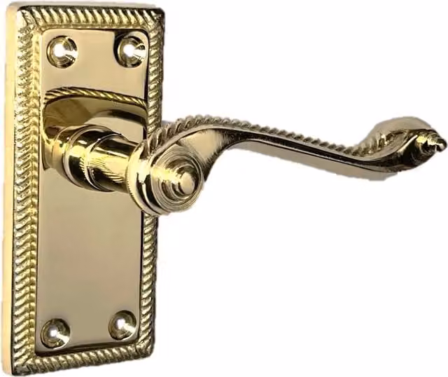 Betley Butterfly Polished Brass Lever Door Handles in Gold/Yellow