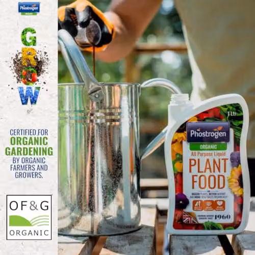 Phostrogen Organic All Purpose Liquid Plant Food with Seaweed Extract, 1 l – 2