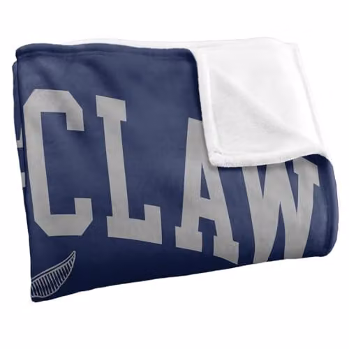 Warner Bros. Harry Potter Ravenclaw Quidditch Arch Super Soft Silky Touch Fleece Throw Blanket, Multicolour, W: 127.0 cm, H: 152.4 cm – 2