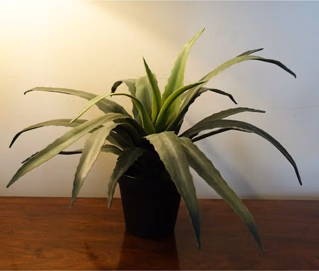 Artificial Aloe Succulent Plant in a Black Pot with Green Leaves