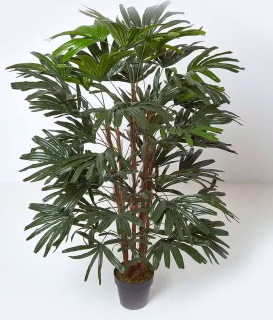 Homescapes Artificial Rhapis Excelsa Palm Tree in Green, Height: 150 cm – 1