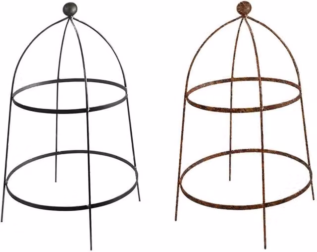 Garden Pride Metal Plant Support Cloche in Green and Black