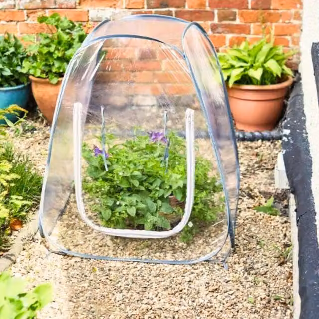 Marco Paul Transparent Pop Up Garden Greenhouse W/D/H: 50 x 50 x 60 cm