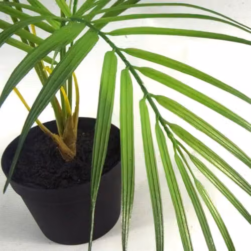 Botanik Realistic Potted Artificial Palm Tropical Tree in Green and Black – 4