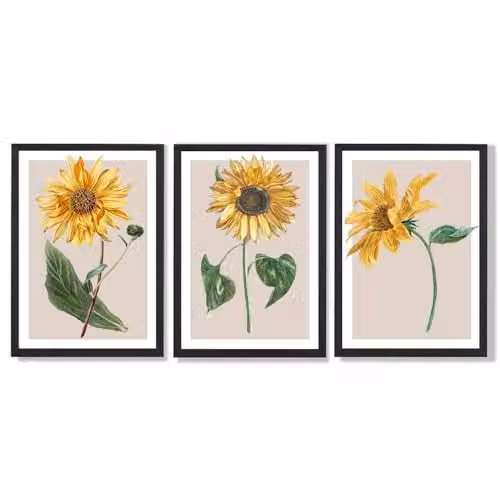 ARTZE Set of 3 Vintage Sunflower Botanical Wall Art, Black Framed Floral Paper Posters in Yellow and Beige, W: 33 cm, H: 45 cm, D: 2 cm – 1