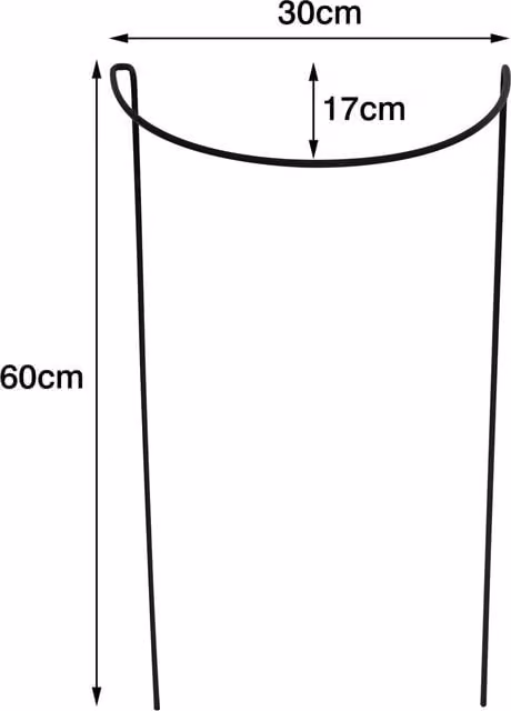 Garden Gear Green Half Round Plant Support Frame for Outdoor Gardens, Height: 60 cm, Pack of 8