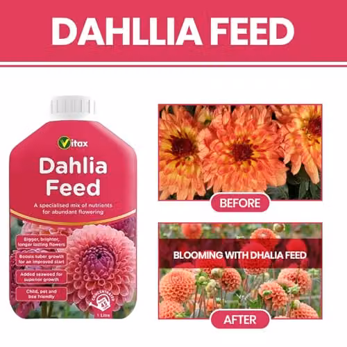 Vitax Organic Dahlia Liquid Feed 1L – 5