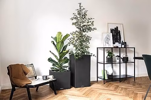 Lechuza Canto Stone 30 Self Watering Plant Pot in Graphite Black, H56 x W30 x D30 cm – 4