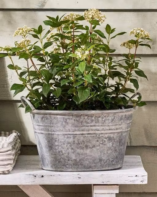 Dibor Vintage Grey Galvanised Steel Trough Bucket Flower Pot with Handles, Diameter: 29 cm, Height: 47 cm