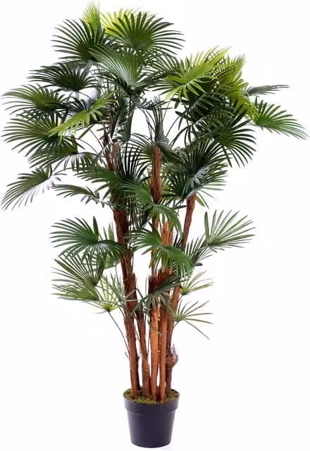 Best Artificial 5ft Spider Finger Palm Tree in Green