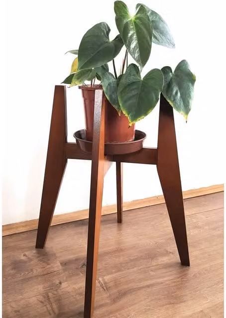 Pollny Medium Minimalist Lacquered Beech Wood Pot Stand in Brown