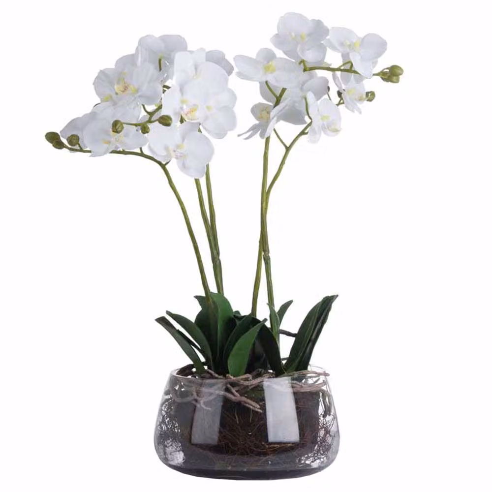 Lemon Pavilion Furniture and Decor White Artificial Orchid in a Glass Pot, W21 x D21 x H61 cm – 2