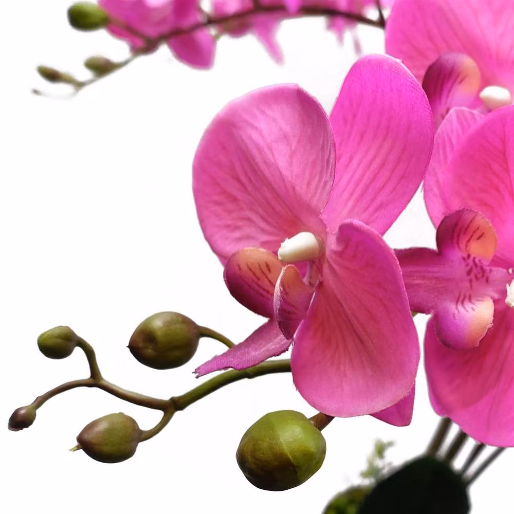 Botanik Artificial Deluxe Bush Orchid in Dark Pink with Black Pot, Height: 85 cm – 5