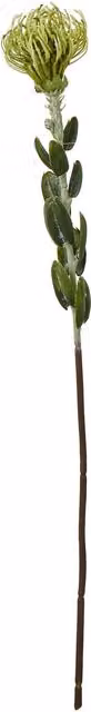 Hill Interiors Green Pincushion Protea Artificial Flower Spray