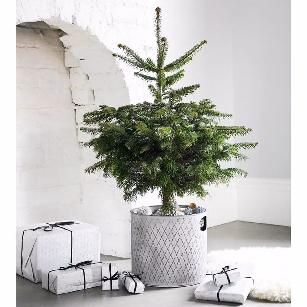 Lemon Pavilion Grey Zinc Indoor Christmas Tree Bucket, W23 x D23 x H23 cm – 3