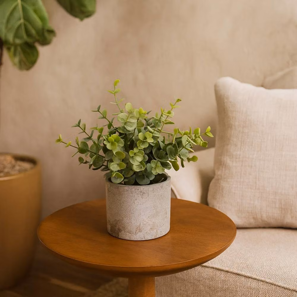 Wyld Haus Small Artificial Button Eucalyptus in a Green Ceramic Effect Pot with Grey Accents – 2