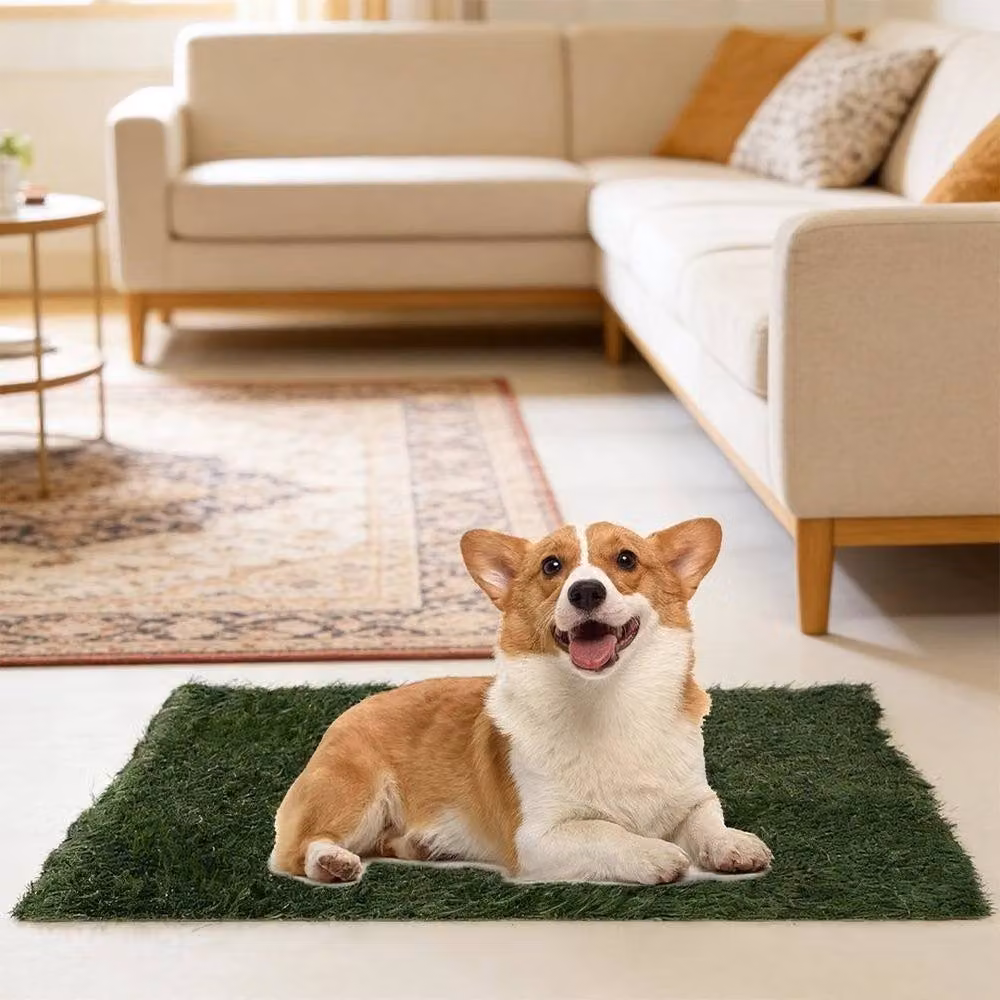 PAWNORA Realistic Artificial Grass in Green, 0.6m2 – 6