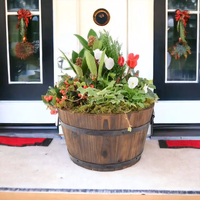 Plants by Post Festive Wooden Barrel Planter with Mixed Winter Plants, Diameter: 30 cm, Multi-colour