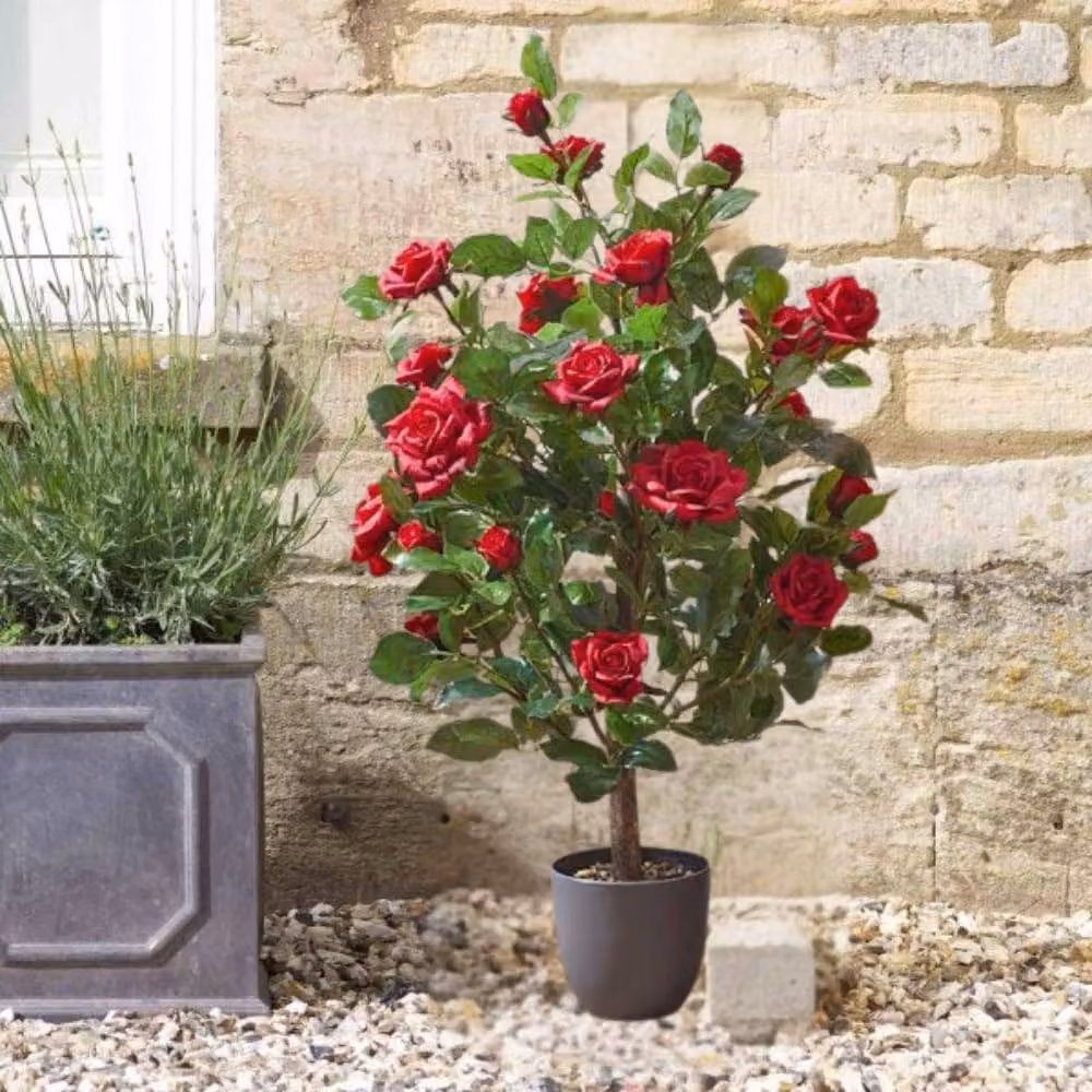 Marco Paul Red Artificial Rose Plant, 80 cm Height – 2
