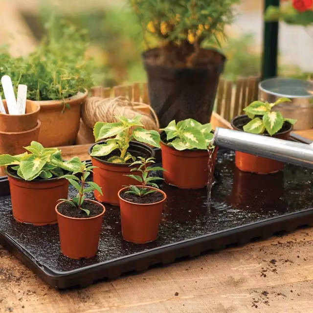 Plantpak Watering Tray with Capillary Matting, Black