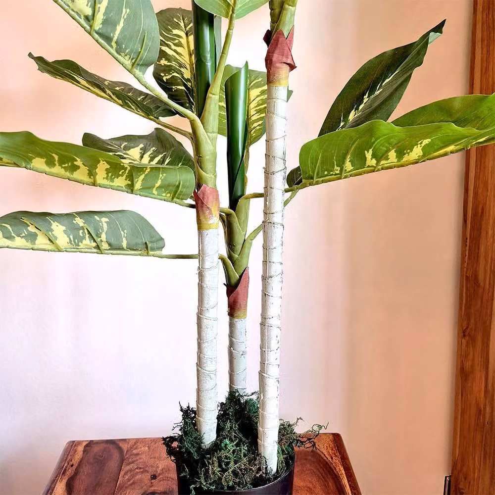 Voltico Artificial Dieffenbachia Tree in Pot, Green, Height: 100 cm – 4