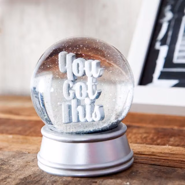 Boxer Gifts You Got This Novelty Glitter Snow Globe Ornament in Silver