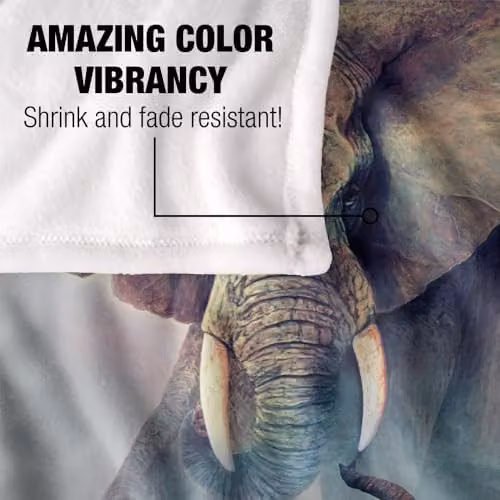 JQ Licensing Elephants Fighting Silky Touch Super Soft Fleece Throw Blanket, White, W/D/H: 152 x 127 cm – 3