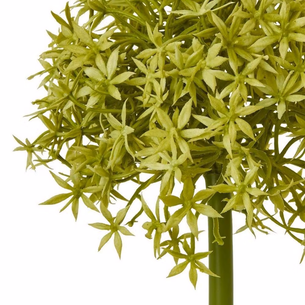 Lemon Pavilion Green Plastic Allium Single Stem Flower, W16 x D16 x H80 cm – 2