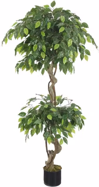 Leaf Design UK 150cm Artificial Twisted Ficus Tree in Green Plastic Pot