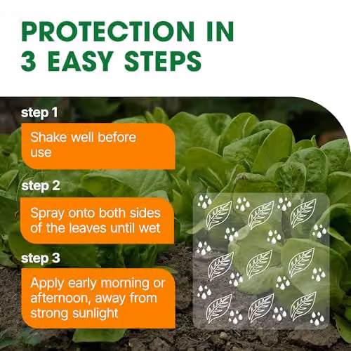 Doff Universal Bug Control Spray for Ornamental and Vegetable Gardens, 1 l – 4