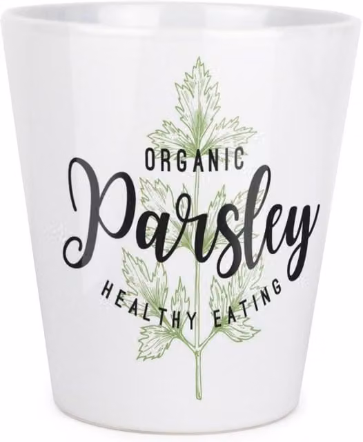Purely Home Ceramic Plant Pot in Green, Black or White
