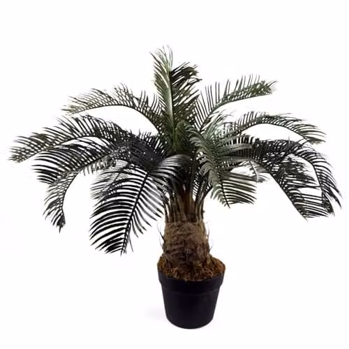 Leaf Design UK Green Artificial Cycas Palm Plant, Height: 60 cm – 1