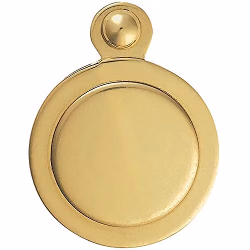 Loops 31mm Lock Profile Covered Escutcheon Plate in Polished Brass